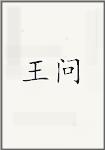 王問